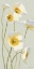 Picture of WHITE ON WHITE POPPIES PANEL I
