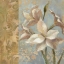 Picture of AMARYLLIS ON SOFT BLUE  WAG