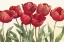 Picture of RUBY TULIPS WAG