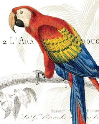 Picture of PARROT BOTANIQUE II