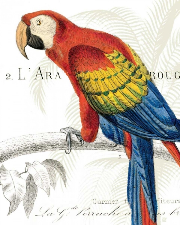 Picture of PARROT BOTANIQUE II