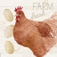 Picture of LIFE ON THE FARM CHICKEN II