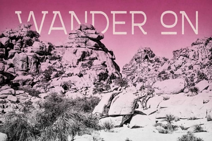 Picture of OMBRE ADVENTURE IV WANDER ON