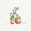 Picture of DESERT BLOOM VII