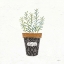 Picture of FINE HERBS IX