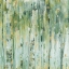 Picture of THE FOREST III