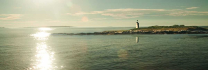 Picture of LIGHTHOUSE SOUND CROP