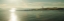 Picture of LIGHTHOUSE SOUND CROP