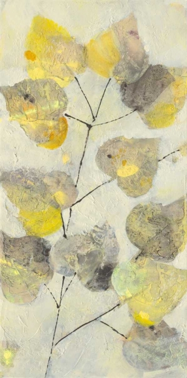 Picture of ASPEN BRANCH I
