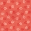 Picture of OTOMI CATS STEP 05B