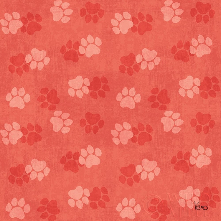Picture of OTOMI CATS STEP 05B