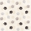 Picture of OTOMI CATS STEP 05A NEUTRAL