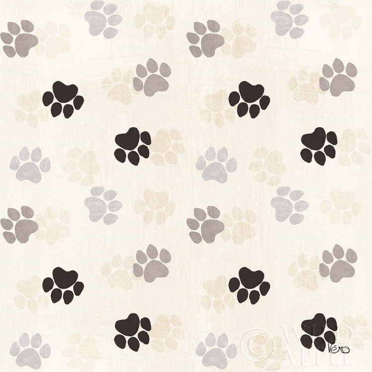 Picture of OTOMI CATS STEP 05A NEUTRAL