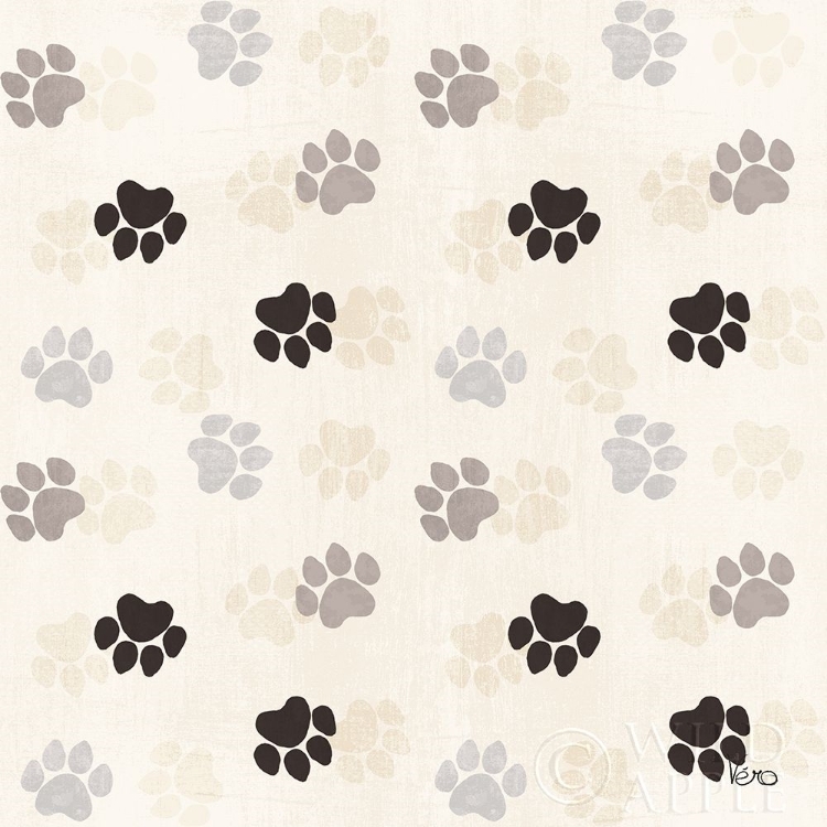 Picture of OTOMI CATS STEP 05A NEUTRAL