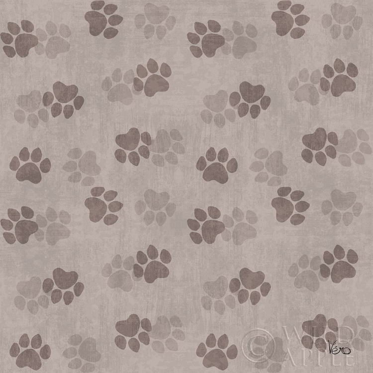Picture of OTOMI CATS STEP 05D NEUTRAL