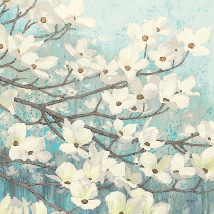 Picture of DOGWOOD BLOSSOMS II