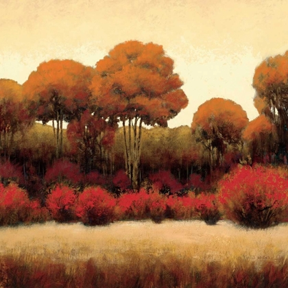 Picture of AUTUMN FOREST II