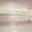 Picture of SHORELINE TRIPTYCH LEFT