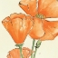 Picture of SUNSHINE POPPY III