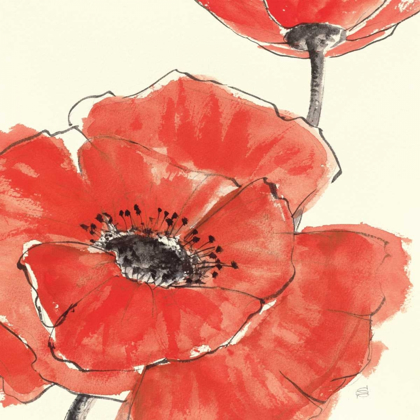 Picture of SPRING POPPY II