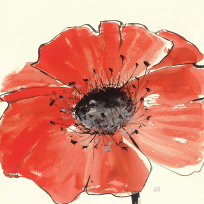 Picture of SPRING POPPY IV