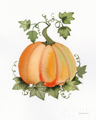 Picture of PUMPKIN AND VINES II
