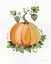 Picture of PUMPKIN AND VINES II