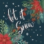 Picture of CHRISTMAS BLOOM V