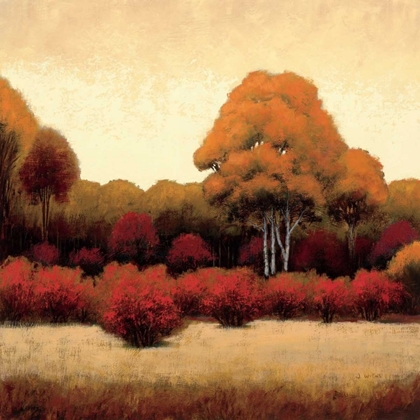 Picture of AUTUMN FOREST I