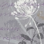 Picture of GREENOLOGY GRAY - II