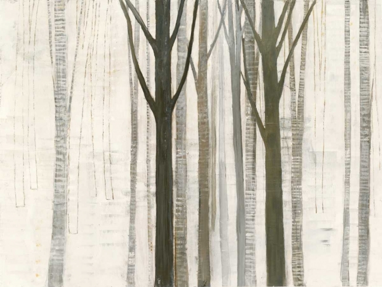 Picture of DOWN TO THE WOODS ON WHITE