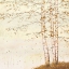 Picture of GOLDEN BIRCH II OFF WHITE