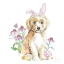 Picture of EASTER PUPS IV