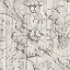 Picture of ITALIAN SCROLL II ON DRIFTWOOD