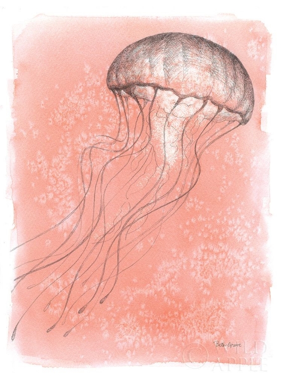 Picture of COASTAL SEA LIFE IV
