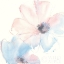 Picture of PARFAIT COSMOS I