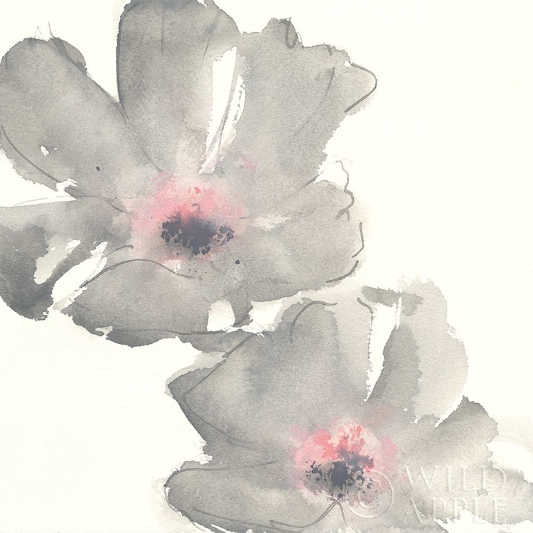 Picture of GRAY BLUSH COSMOS I