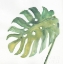 Picture of TROPICAL PALM IV