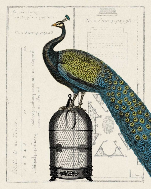 Picture of PEACOCK BIRDCAGE II