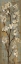 Picture of ALMOND BRANCH I