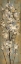 Picture of ALMOND BRANCH II