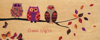 Picture of GOOD NIGHT OWL