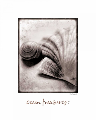Picture of OCEAN TREASURES