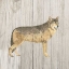 Picture of NATURAL MAJESTY IV V2  ON WOOD