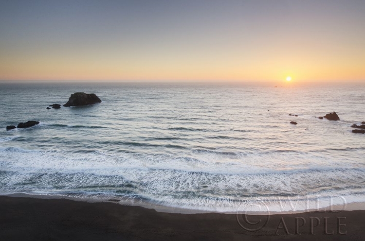 Picture of SONOMA COAST II