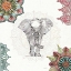 Picture of MANDALA MORNING I