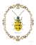 Picture of ADORNING COLEOPTERA VII