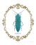 Picture of ADORNING COLEOPTERA VIII