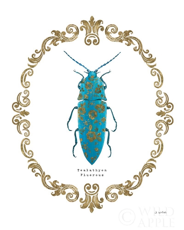 Picture of ADORNING COLEOPTERA VIII