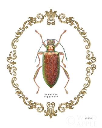 Picture of ADORNING COLEOPTERA VI